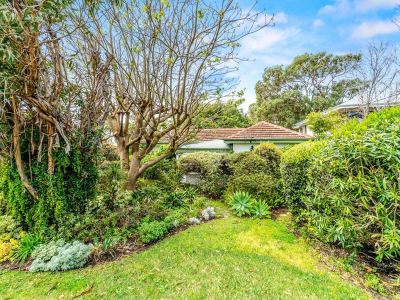 47 Arnott Street, Trigg WA 6029