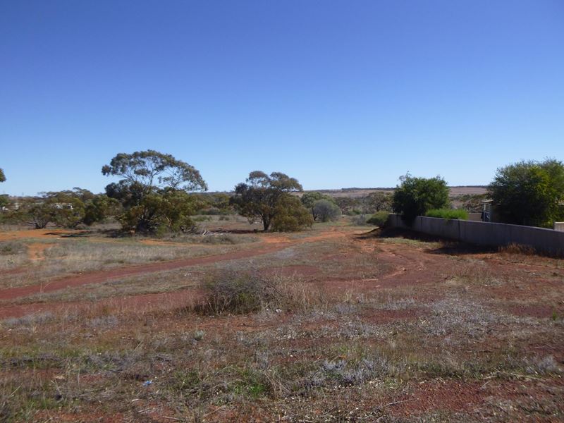 15 Fry Street, Mullewa