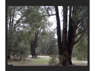 997/ Chadoora Road, Inglehope WA 6213