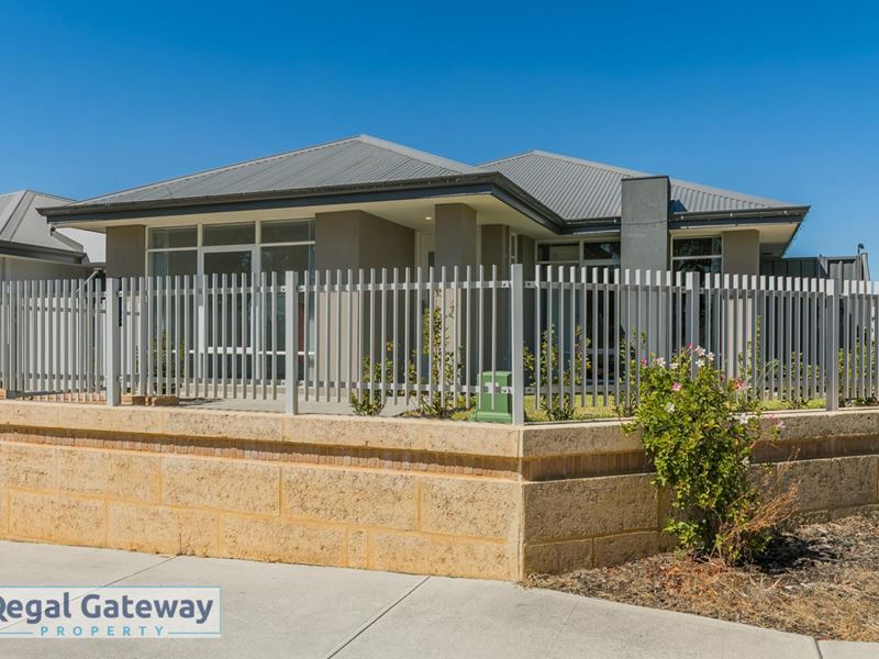 41 Mcphee Road, Hammond Park