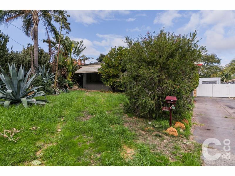 23 Richard Place, Orelia