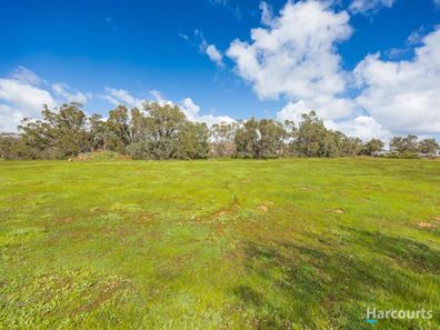 154 Chardonnay Dr, Lower Chittering WA 6084