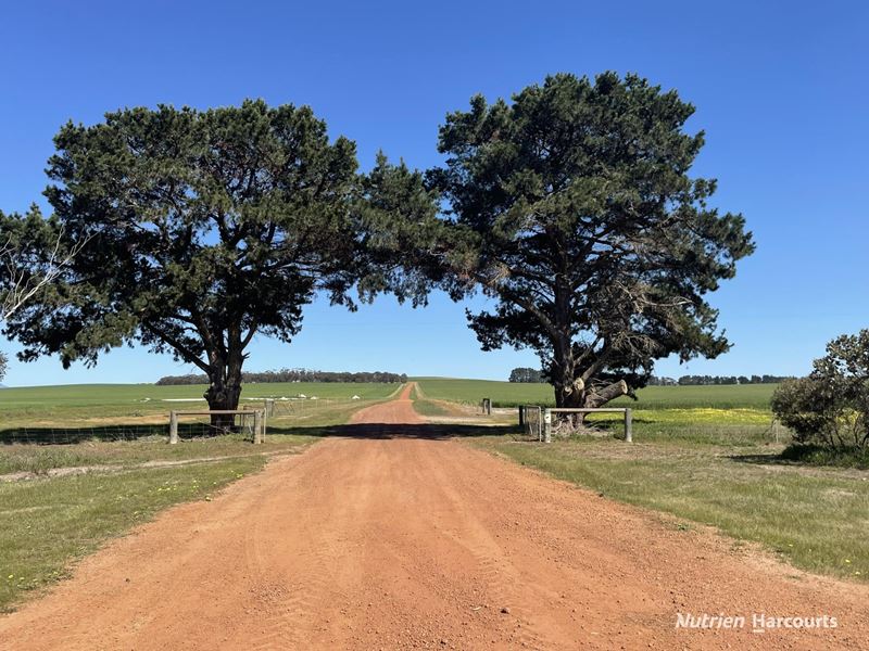 . Toompup South, Borden