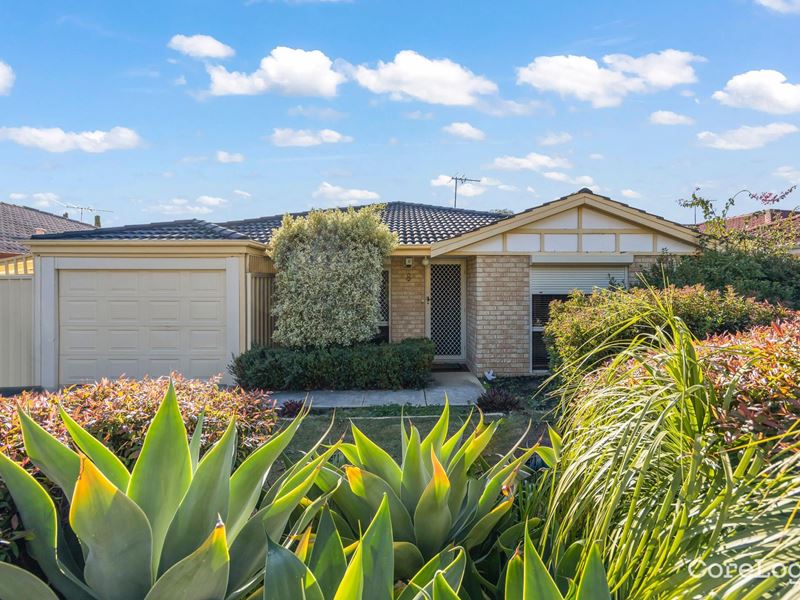 8 Groote Gardens, Ballajura WA 6066