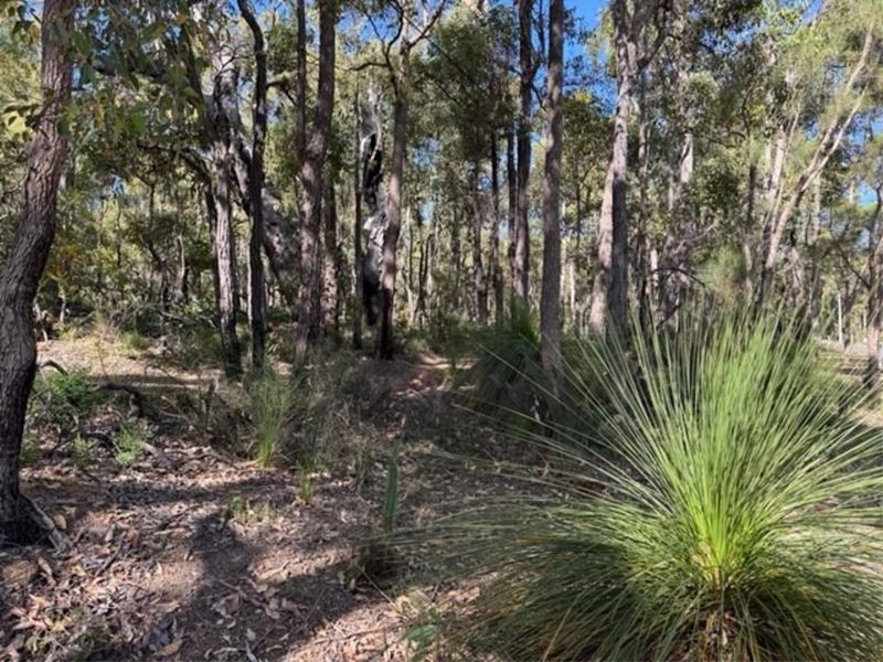 615 Marshwood Place, Sawyers Valley