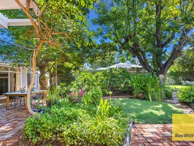 107 Shenton Road, Swanbourne WA 6010