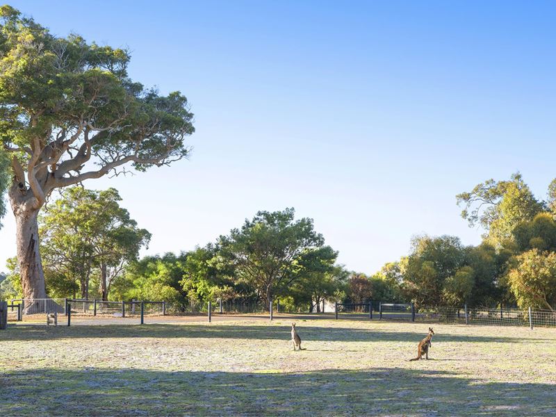26 Hebrides Close, Quindalup WA 6281