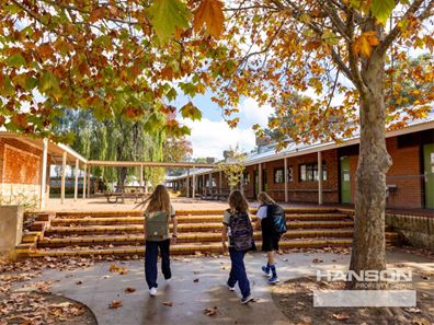 Lot 562, 20 Tarwhine Drive, Vasse WA 6280