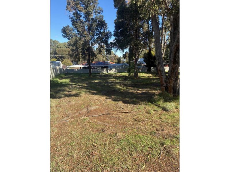 11 Park Street, Collie