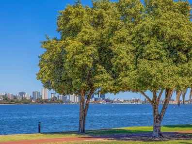 30/124 Terrace Road, Perth WA 6000