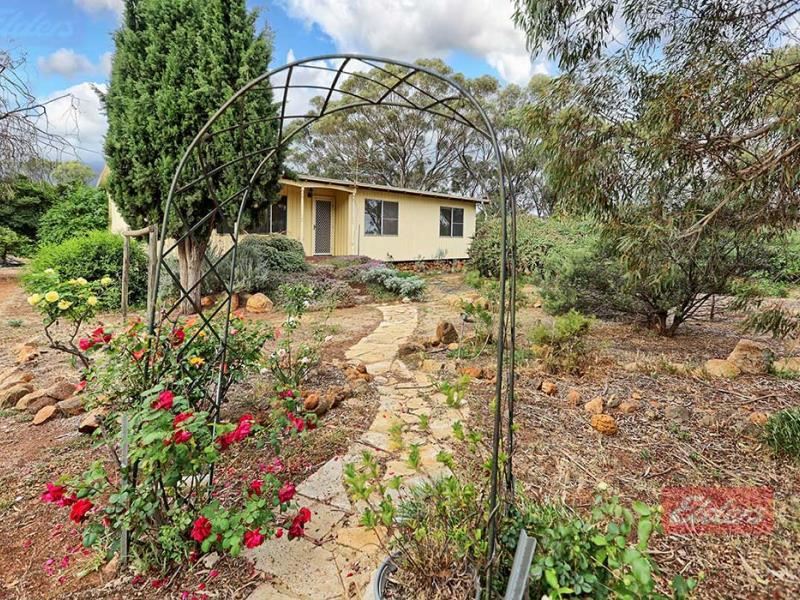 45 Palmer  Street, Narrogin WA 6312