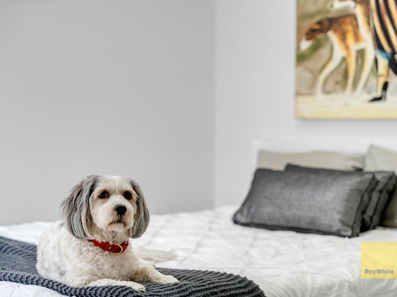 38 Cetus Loop, Bennett Springs WA 6063