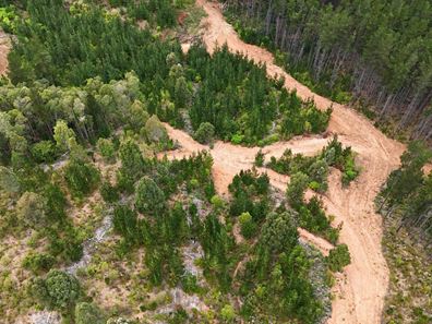 Lot 100 Brockman Highway, East Nannup WA 6275