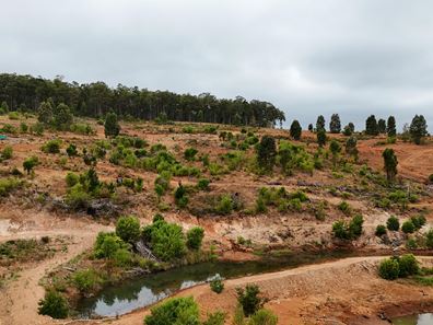 Lot 100 Brockman Highway, East Nannup WA 6275