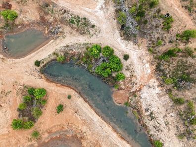 Lot 100 Brockman Highway, East Nannup WA 6275