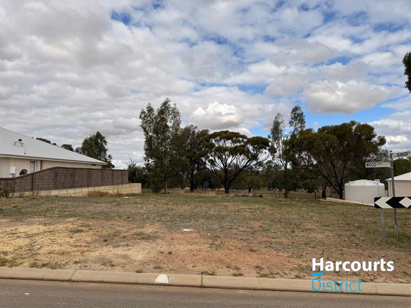 33 Wood Drive, Northam WA 6401
