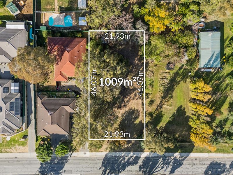 19 Hill Street, Mount Nasura WA 6112