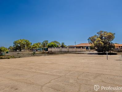 295 David Road, Waggrakine WA 6530