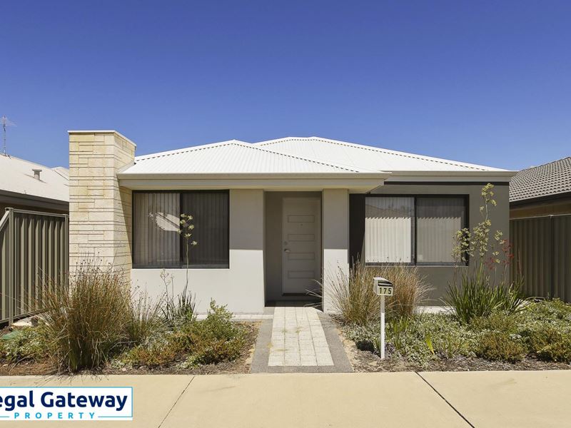 175 Honeywood Avenue, Wandi