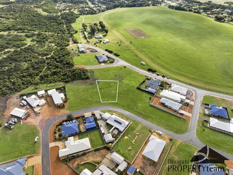 42 Premier Circle, Dongara WA 6525