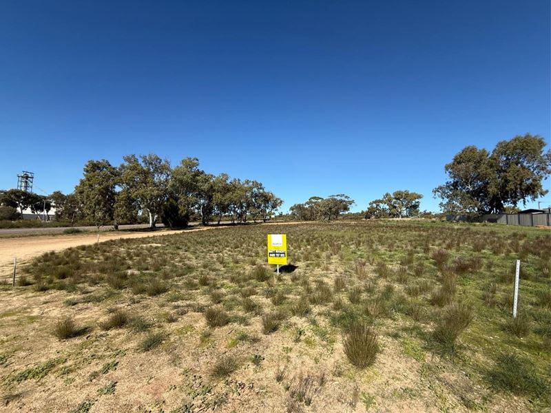 20 Ikewa Street, Mingenew WA 6522