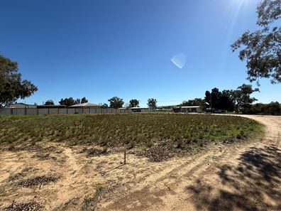 20 Ikewa Street, Mingenew WA 6522