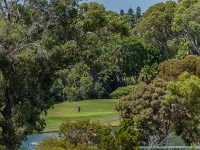 12A Pine Valley Pass, Connolly WA 6027