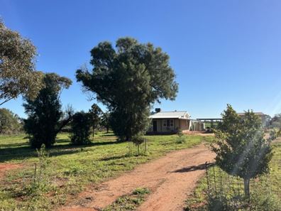 372 Burton Road, Ambania WA 6632