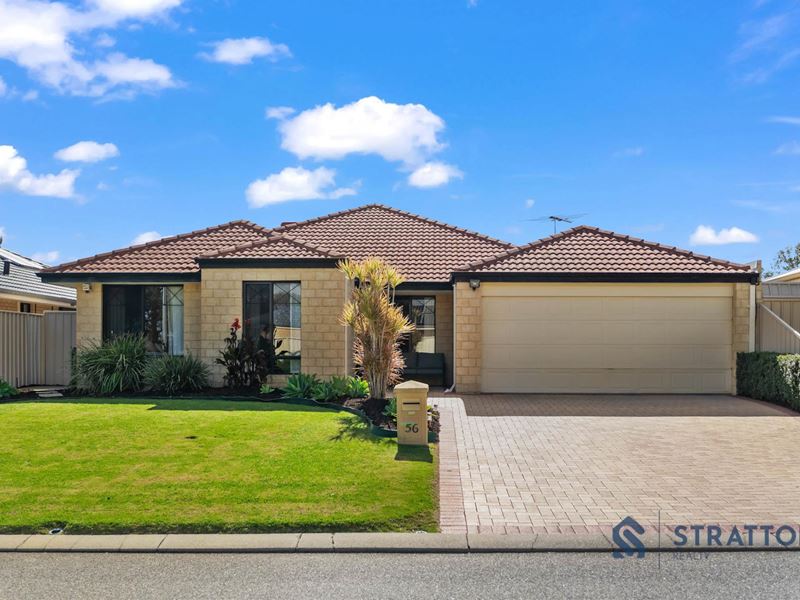 56 Daly Circle, Langford WA 6147