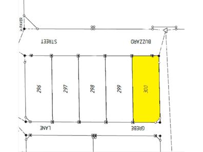 10 Buzzard Street, South Hedland WA 6722