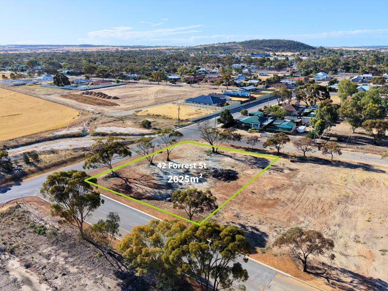 42 Forrest Street, Kellerberrin WA 6410