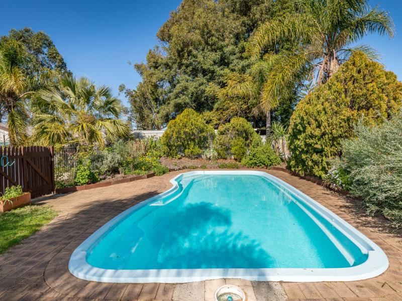 163 Eddystone Avenue, Craigie