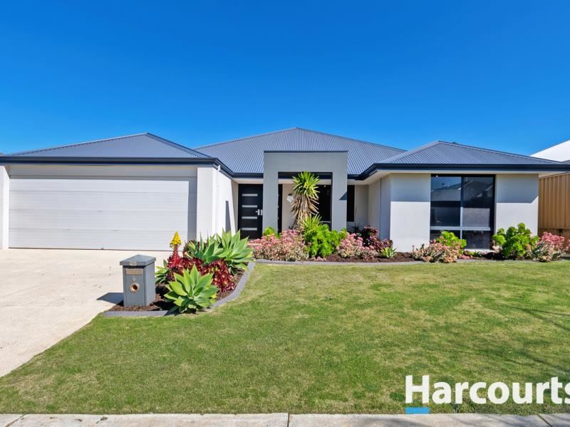 6 Wetherby Link, Butler WA 6036