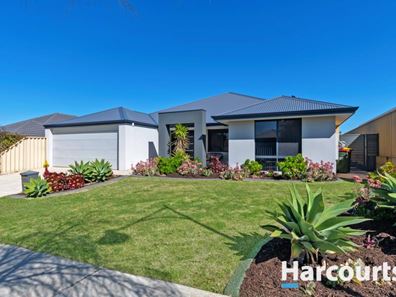 6 Wetherby Link, Butler WA 6036