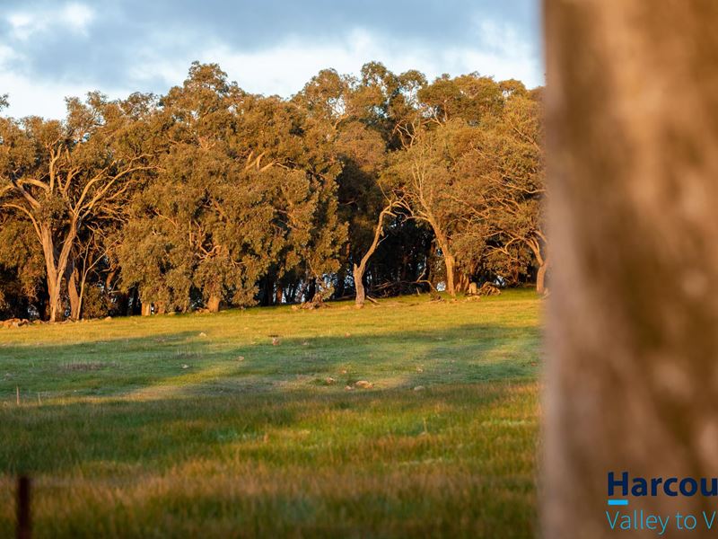 639 McGlew Road, Lower Chittering