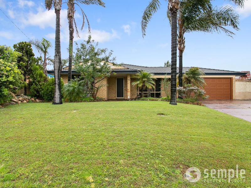 10 Marigold Place, Yangebup