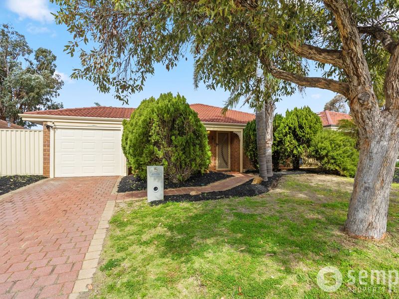 5 Thornbill Loop, Beeliar WA 6164