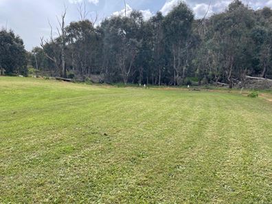 Lot 9 Donnybrook-Boyup Brook Road, Mumballup WA 6225