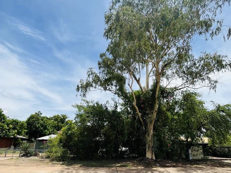 7 Casuarina Way, Kununurra