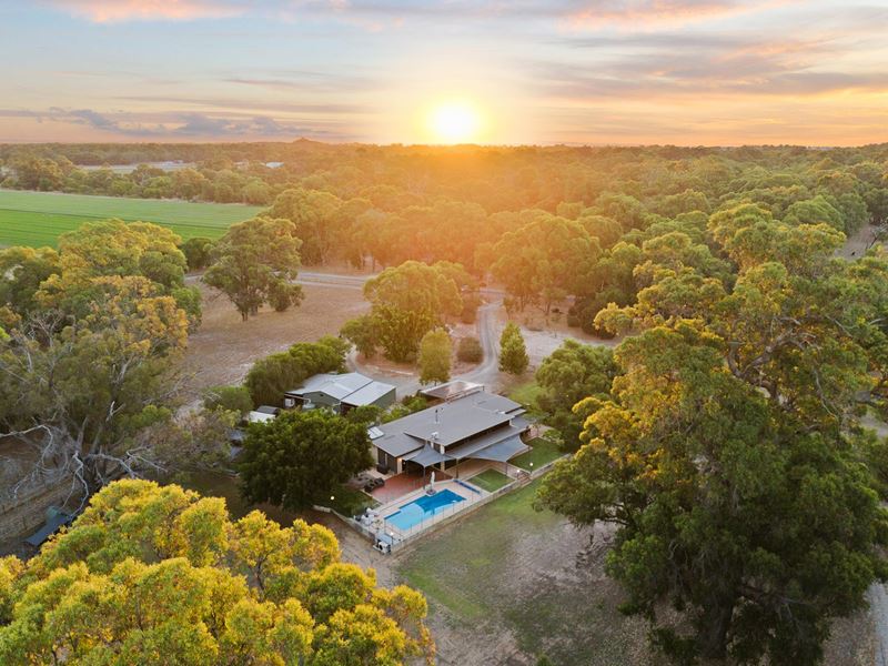 130 Winery Drive, Karnup WA 6176
