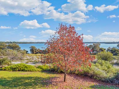 58 Aclare Road, Barragup WA 6209
