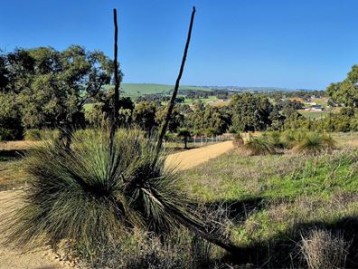 Lot 6,  Aquilo Road, Ginginup WA 6503