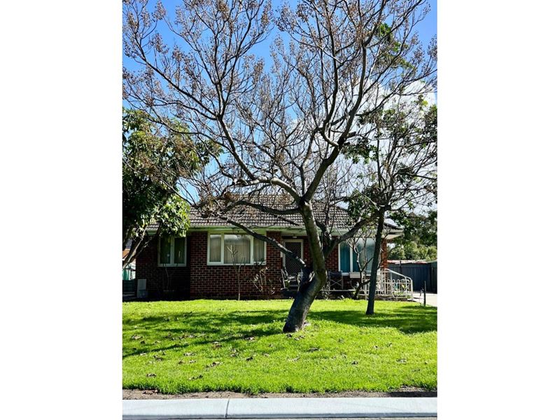 33 Bromley Street, Embleton WA 6062
