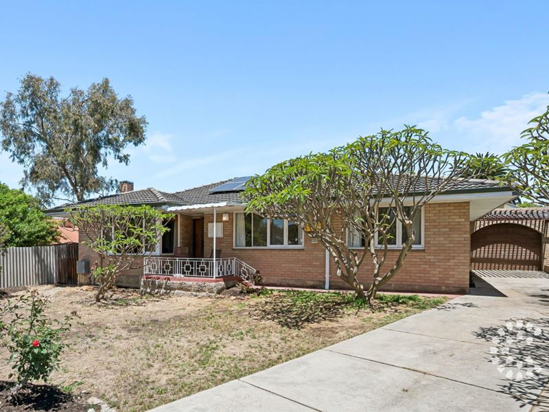 13 Hillier Crescent, Hamilton Hill WA 6163