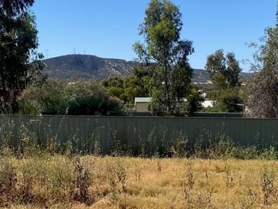 22 Alfred Street, York WA 6302