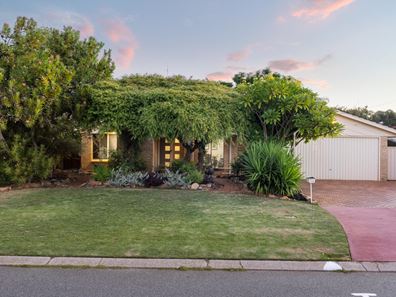14 Calleen Court, Wilson WA 6107