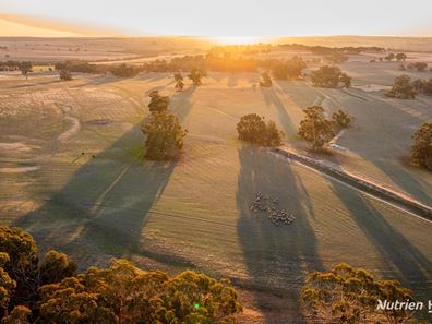 333 Helena Road, Balladong WA 6302