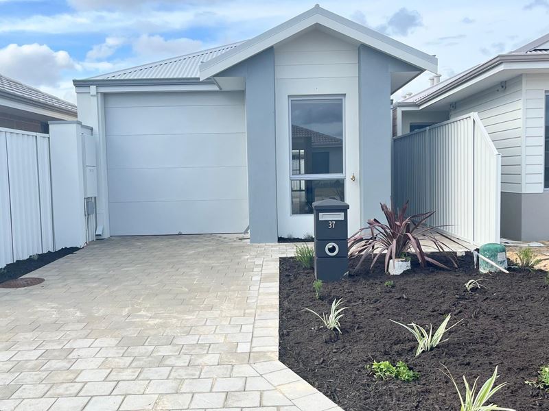37 Throttle Street, Brabham