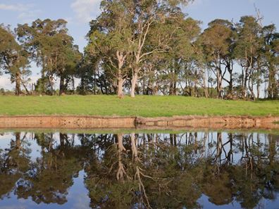58 Sunshine (via Margaret River - Augusta Region) Avenue, Courtenay WA 6288