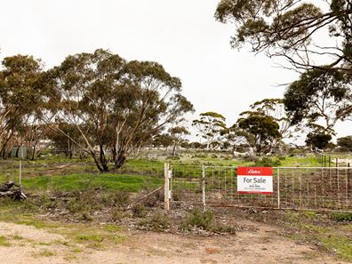 98 Bates Street, Merredin WA 6415